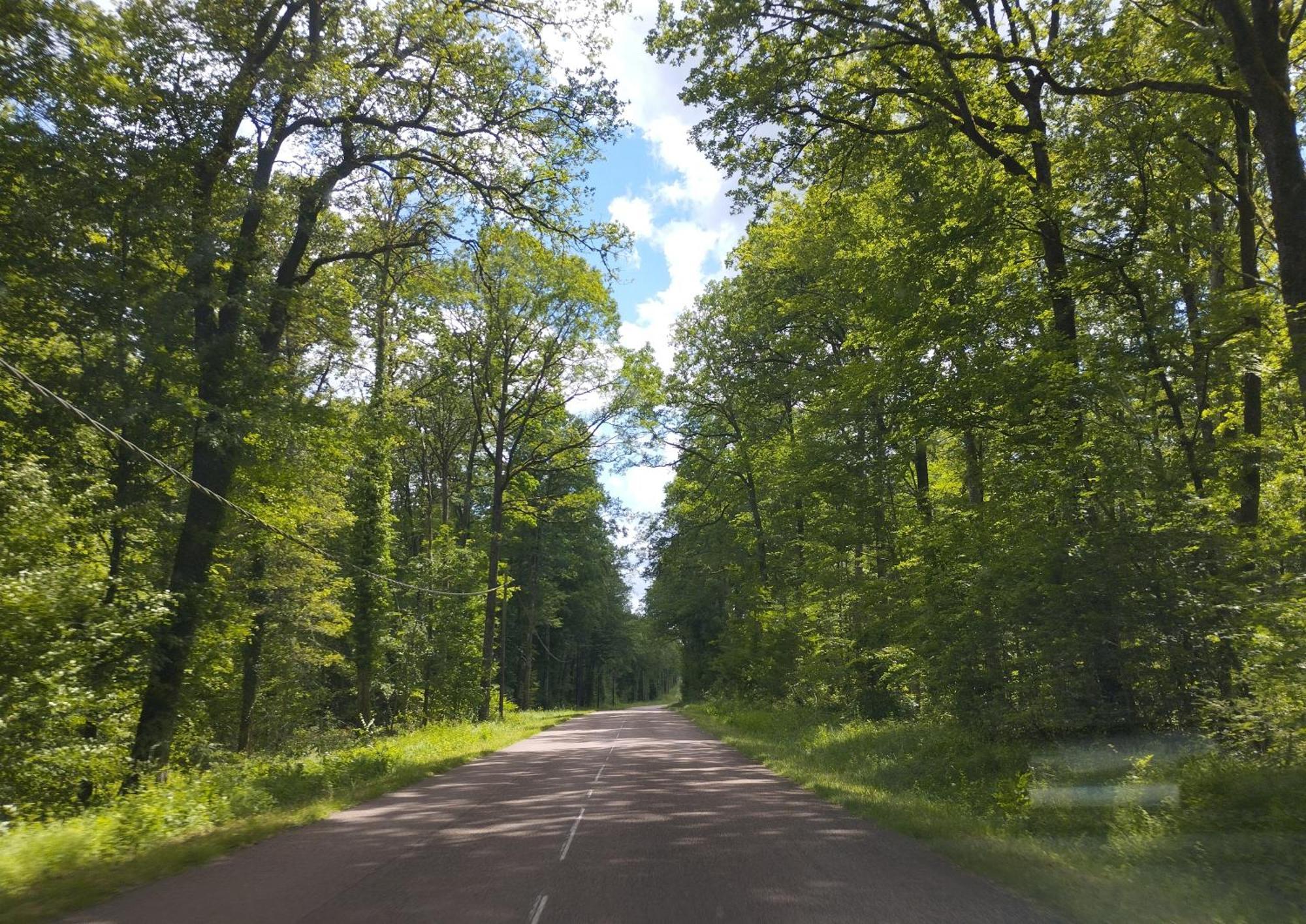 Hébergement de vacances Au Nid D'hirondelles Selles (Haute-Saone)