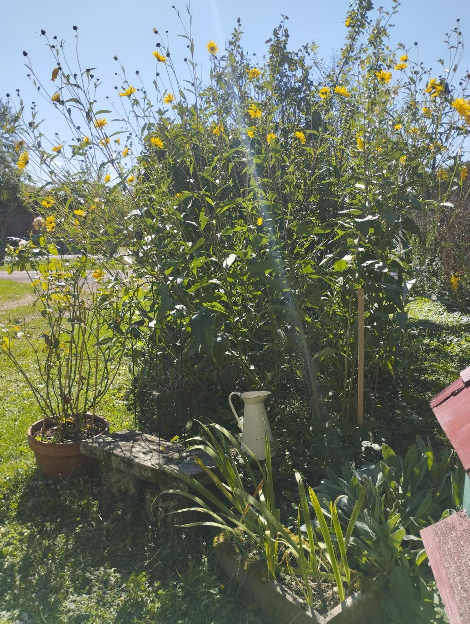 Au Nid D'hirondelles Hébergement de vacances Selles (Haute-Saone)